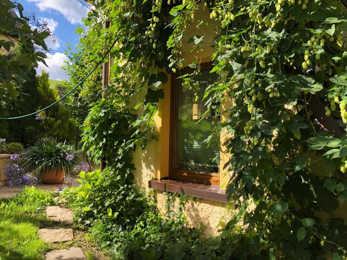 Ferienhaus Erzgebirge "An Der Trebe" Mit Kamin Und Sauna Neuhausen  Esterno foto