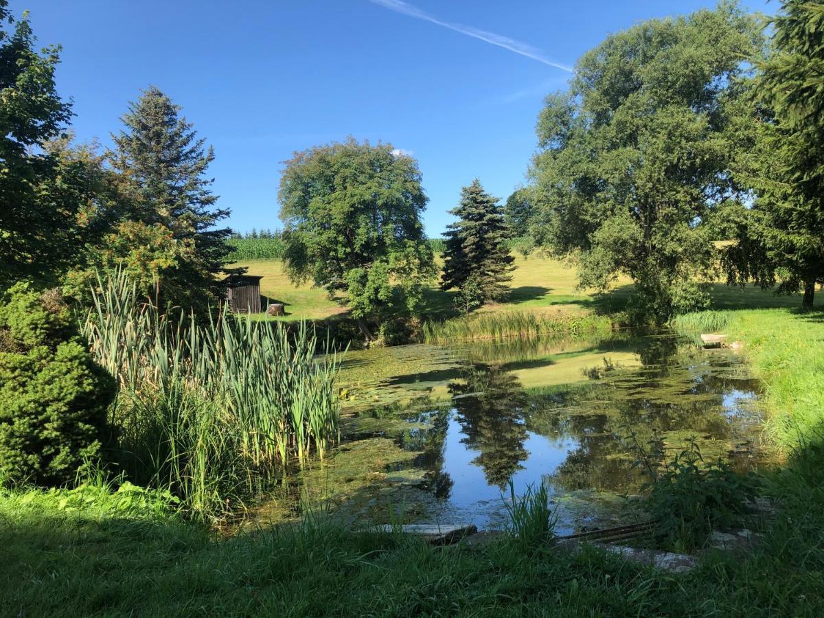 Ferienhaus Erzgebirge "An Der Trebe" Mit Kamin Und Sauna Neuhausen  Esterno foto
