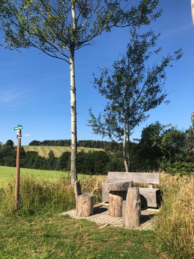 Ferienhaus Erzgebirge "An Der Trebe" Mit Kamin Und Sauna Neuhausen  Esterno foto