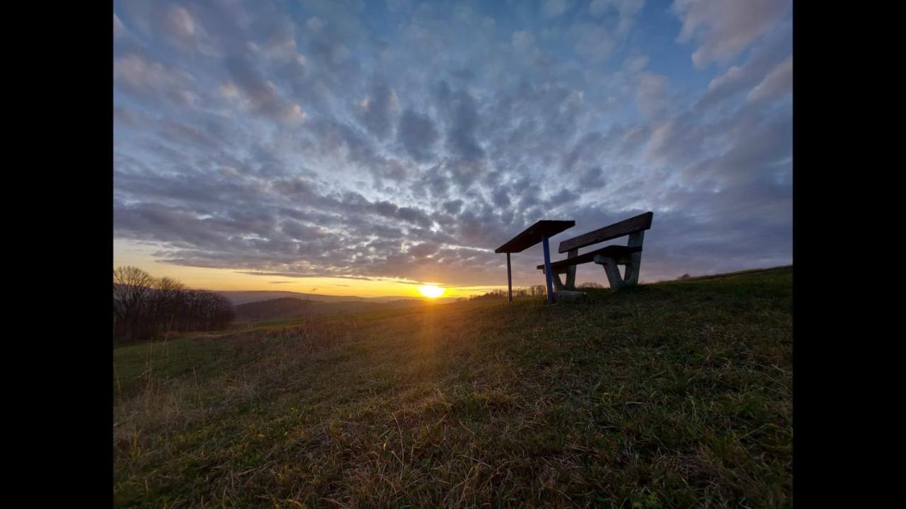 Ferienhaus Erzgebirge "An Der Trebe" Mit Kamin Und Sauna Neuhausen  Esterno foto