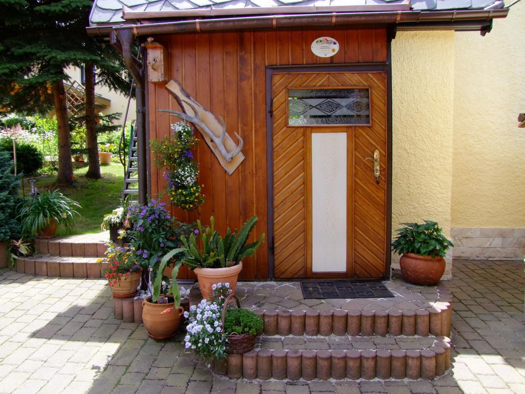 Ferienhaus Erzgebirge "An Der Trebe" Mit Kamin Und Sauna Neuhausen  Camera foto