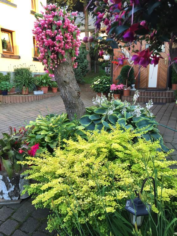 Ferienhaus Erzgebirge "An Der Trebe" Mit Kamin Und Sauna Neuhausen  Esterno foto