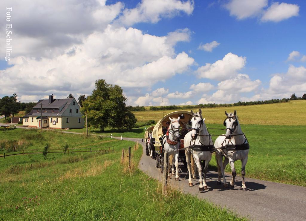 Ferienhaus Erzgebirge "An Der Trebe" Mit Kamin Und Sauna Neuhausen  Esterno foto
