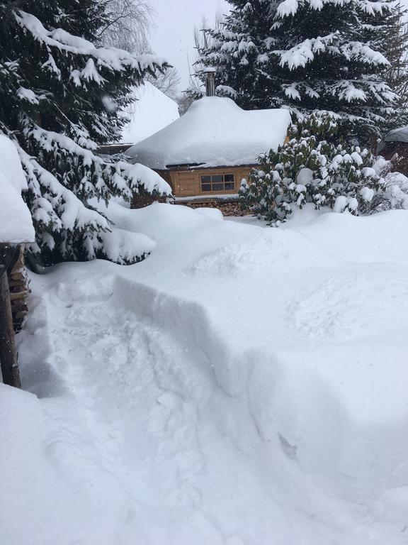 Ferienhaus Erzgebirge "An Der Trebe" Mit Kamin Und Sauna Neuhausen  Esterno foto
