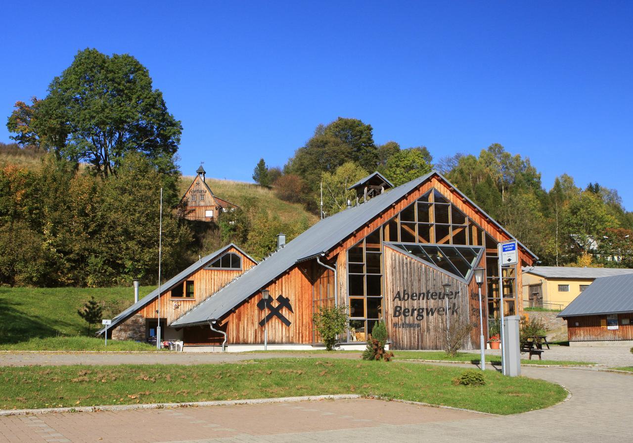 Ferienhaus Erzgebirge "An Der Trebe" Mit Kamin Und Sauna Neuhausen  Esterno foto