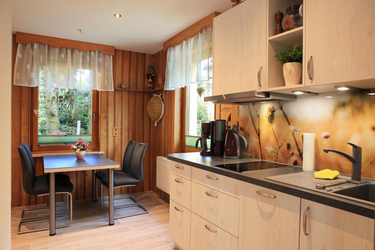 Ferienhaus Erzgebirge "An Der Trebe" Mit Kamin Und Sauna Neuhausen  Esterno foto